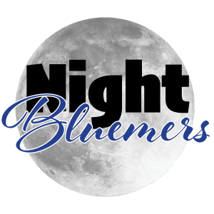 Logo Officiel Night Bluemers